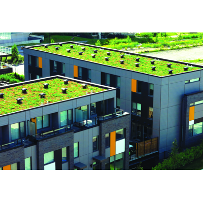 afbeelding voor Green Roof waterproofing with polyurethane-bituminous liquid waterproofing membrane ISOFLEX-PU 560 BT