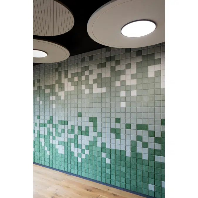 Acoustic Natura Mosaic
