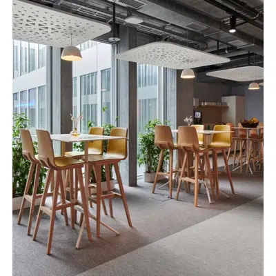 Image for Acoustic Ceiling Panel Rectangle Web