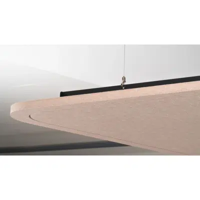 Image for Acoustic Ceiling Panel Rectangle