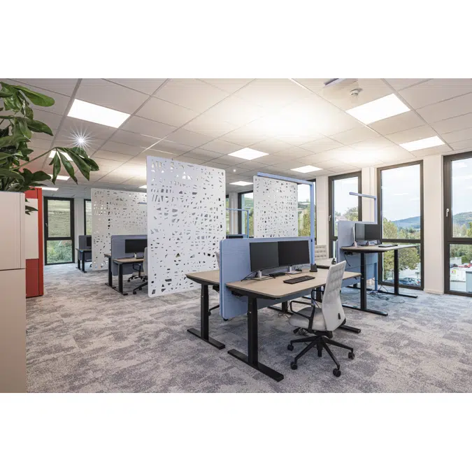 Acoustic Hanging Division Rays