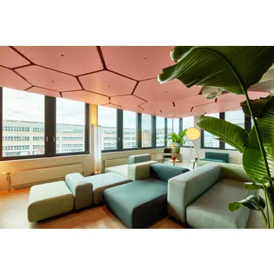 Image for Acoustic Ceiling Panel Plateau