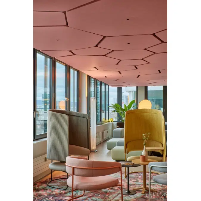 Acoustic Ceiling Panel Plateau