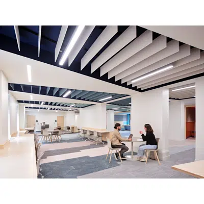 Image for Acoustic Ceiling Baffles Straight Modular