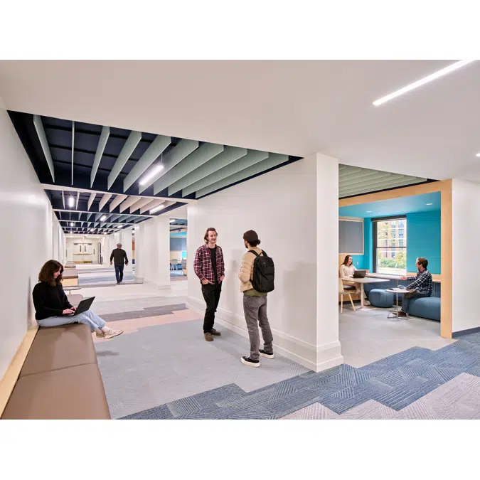 Acoustic Ceiling Baffles Straight Modular