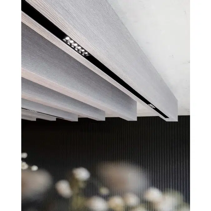 Acoustic Balken Light