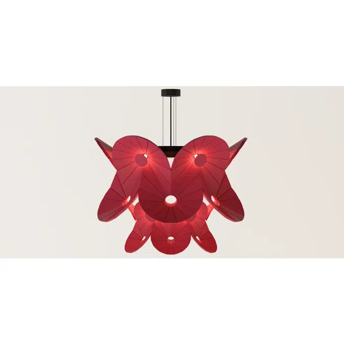 Acoustic Lighting Oloïd