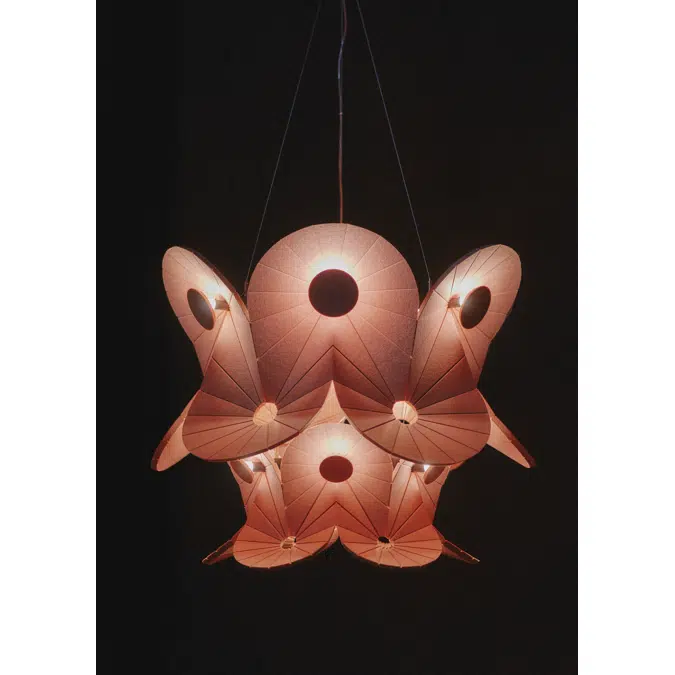 Acoustic Lighting Oloïd