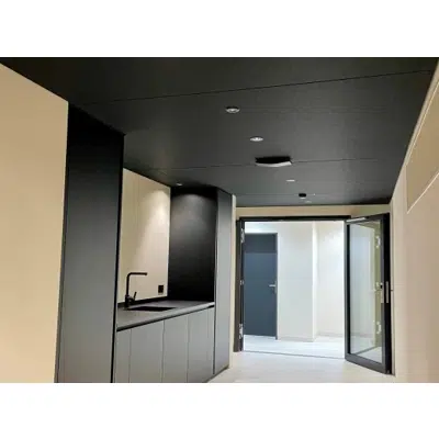 Image for Acoustic Ceiling Panel Alto