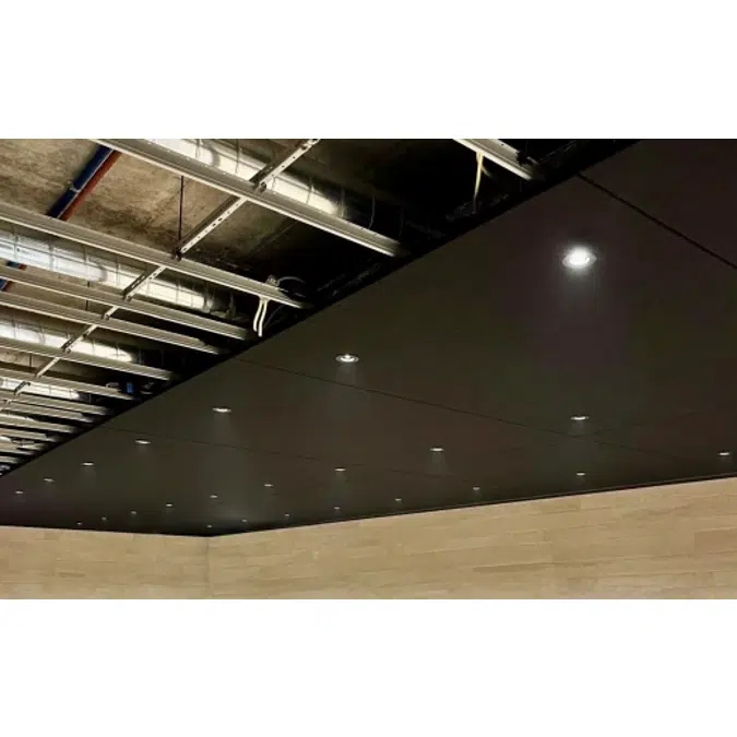 Acoustic Ceiling Panel Alto