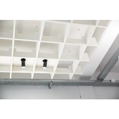 Image for Acoustic Ceiling System Grid Bespoke