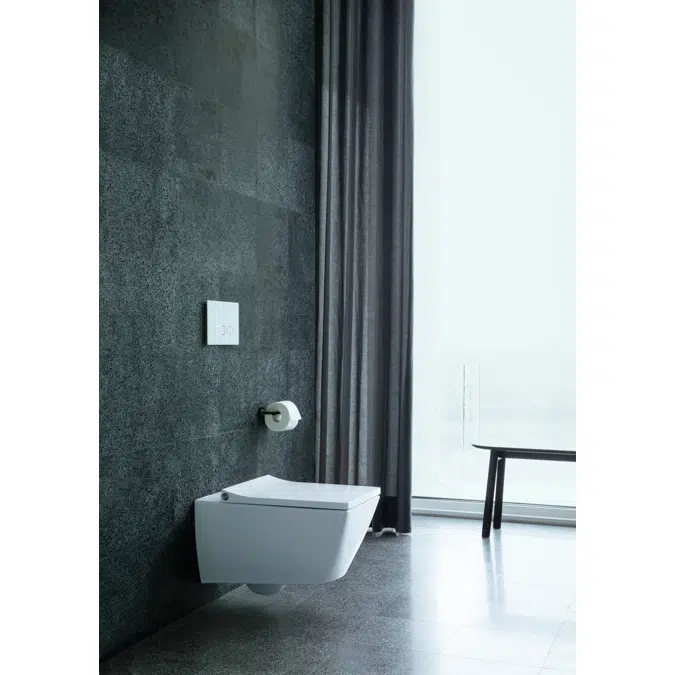Viu wall-mounted toilet 251109