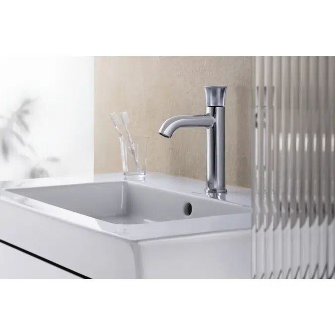 WT1010 Single-lever-washbasin-mixer