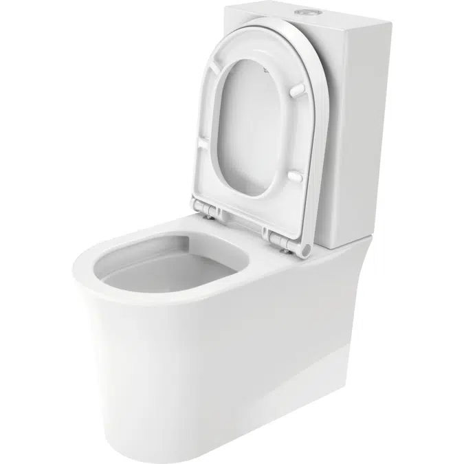 219709 Floor-mounted-toilet-for-combination