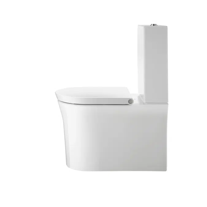 219709 Floor-mounted-toilet-for-combination