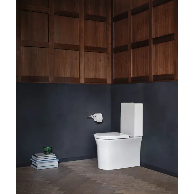 219709 Floor-mounted-toilet-for-combination