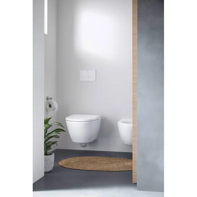 Duravit DuraSystem Pulsador manual para inodoro A1 - WD5001