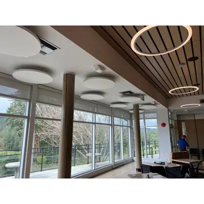 Immagine per Halo Acoustic Ceiling Clouds