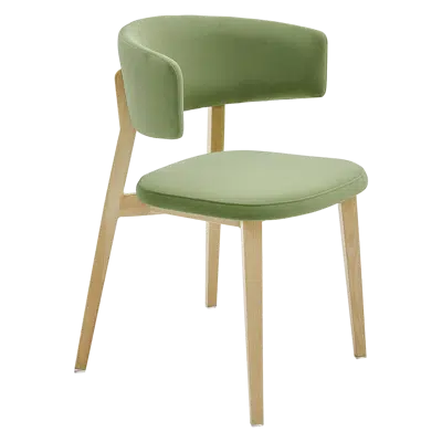 Woodlook 2.15 için görüntü