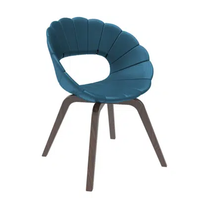 Image for flower 9W0.B1