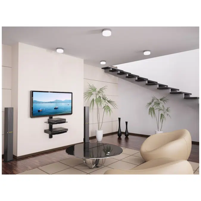 Dual AV Wall Shelf with Glass