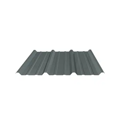 obraz dla R-Panel Wall and Roof Panel