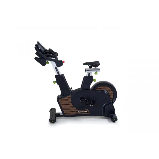 C516 ECO-NATURAL™ Status Indoor Cycle