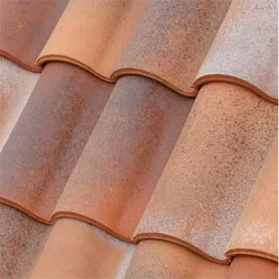 Immagine per Duna roof tile