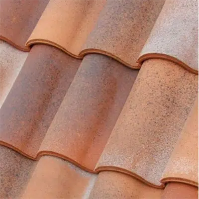 bilde for Duna roof tile