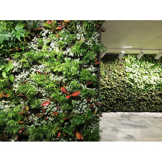 BIM objects - Free download! ANS Interior Living Green Wall System ...