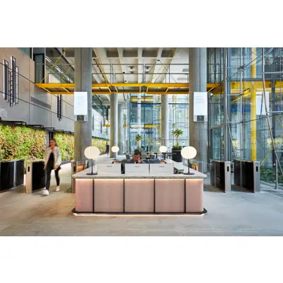 Immagine per ANS Interior Living Green Wall System