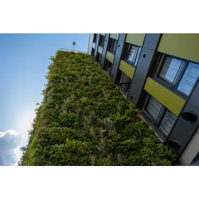 ANS Exterior Living Green Wall System