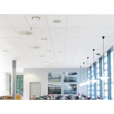 bild för Concept Ceiling