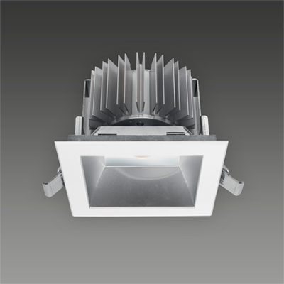 Image pour Downlights | arrayLED 25 W 720 mA