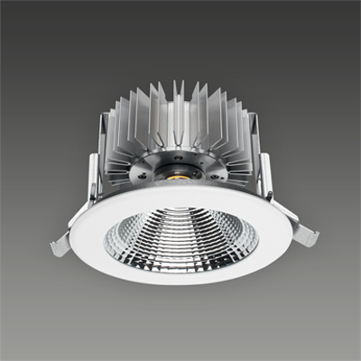 Image pour Downlights | arrayLED 25 W 720 mA