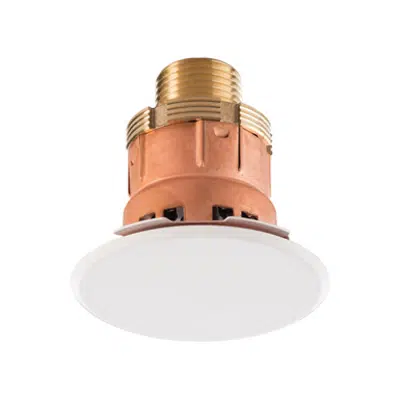 949 CONCEALED SPRINKLER QUICK RESPONSE图像