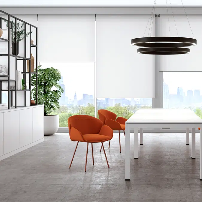 Sheru upholstered chairs