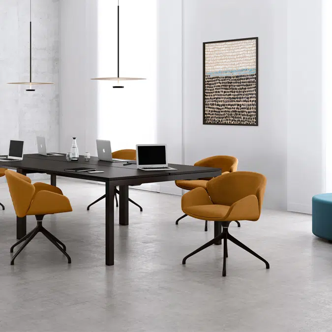 Sheru upholstered chairs