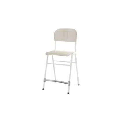 Matte 54 cm small seat white frame