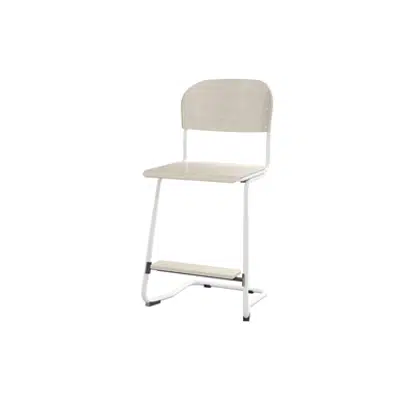 Matte 57/63 cm big seat white frame