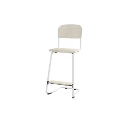 Matte 63 cm small seat white frame