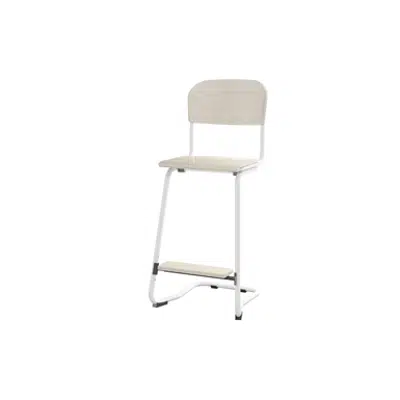 Image for Matte 63 cm small seat white frame