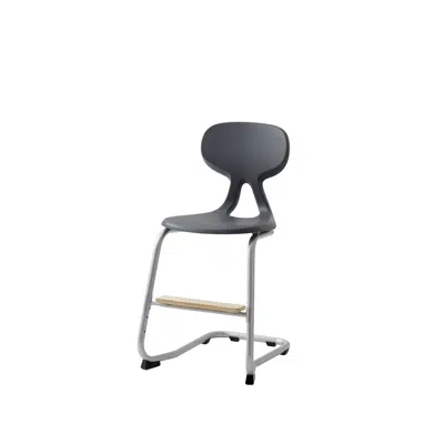 Image for Stol Poly C medium sh 50 cm inkl fotstöd silverstativ