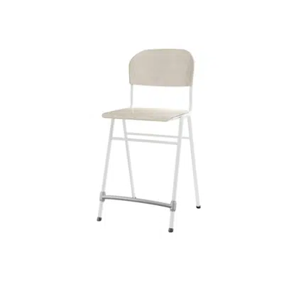 Matte 65 cm big seat white frame