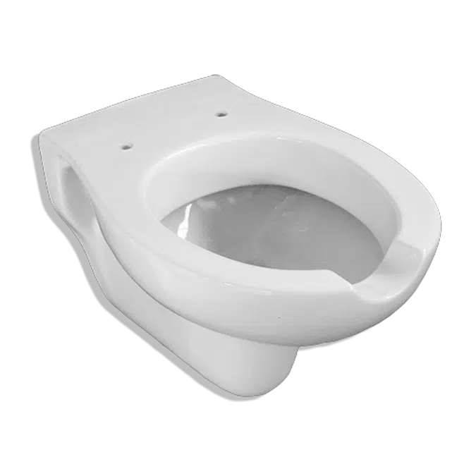 WALL-HUNG CERAMIC WC  D056A/01