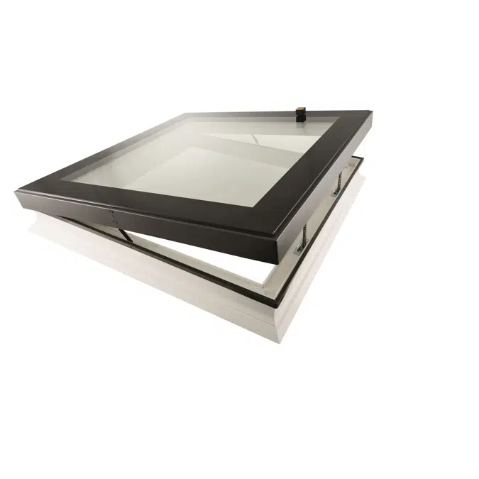 OnTop Tronic flat roof window