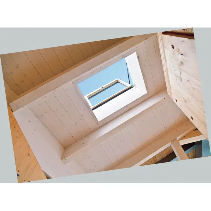 Designo R3 exit roof window wood