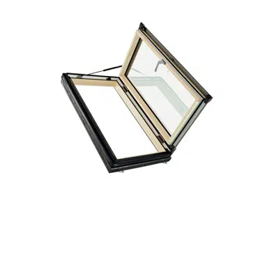 Image for Designo R3 exit roof window wood