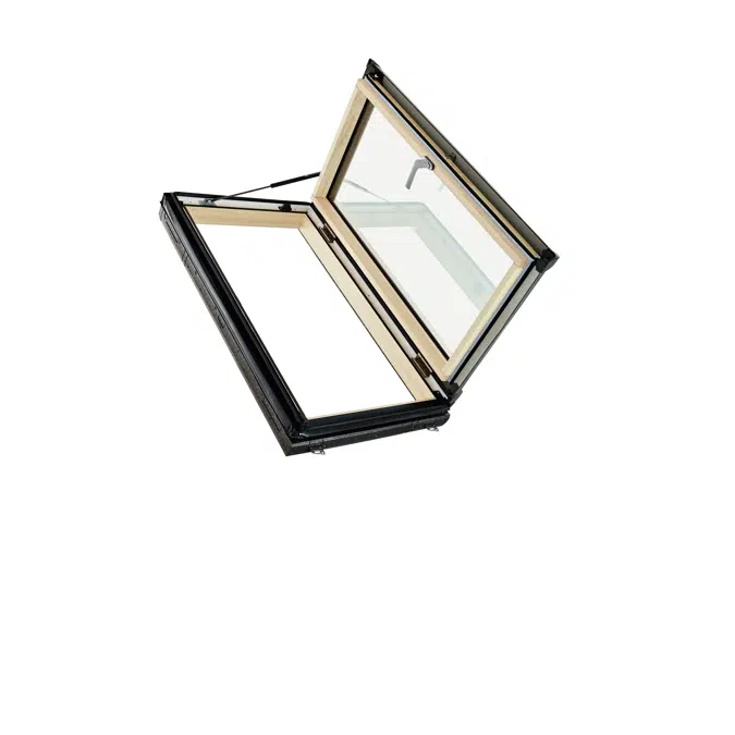 Designo R3 exit roof window wood