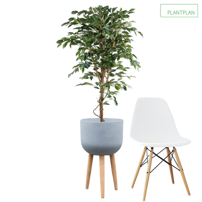 Image for 1 x Grey Planter with Timber Legs - Replica Ficus Tree - 1600mm